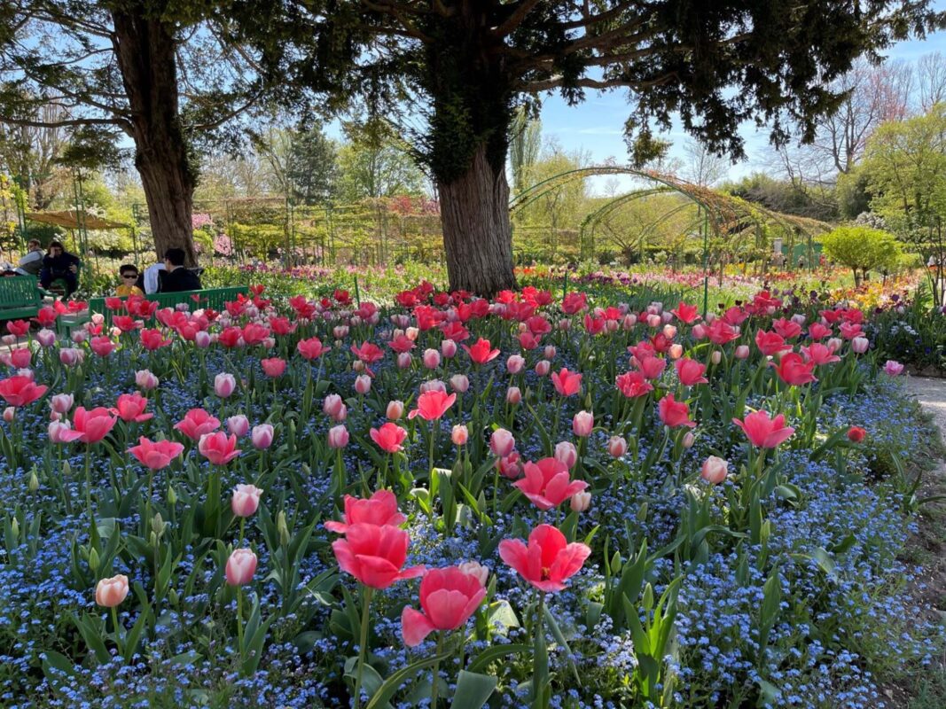 Khu vườn của Claude Monet ở Pháp