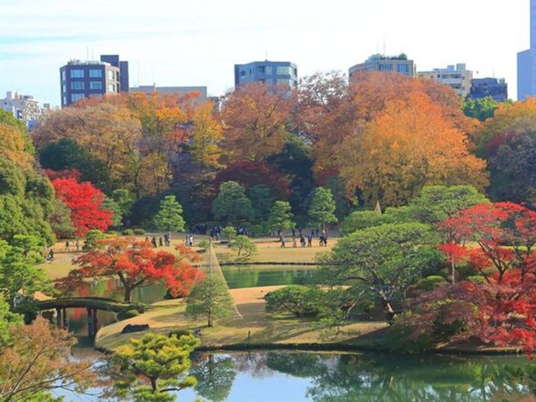 Vườn Rikugien ở Nhật Bản