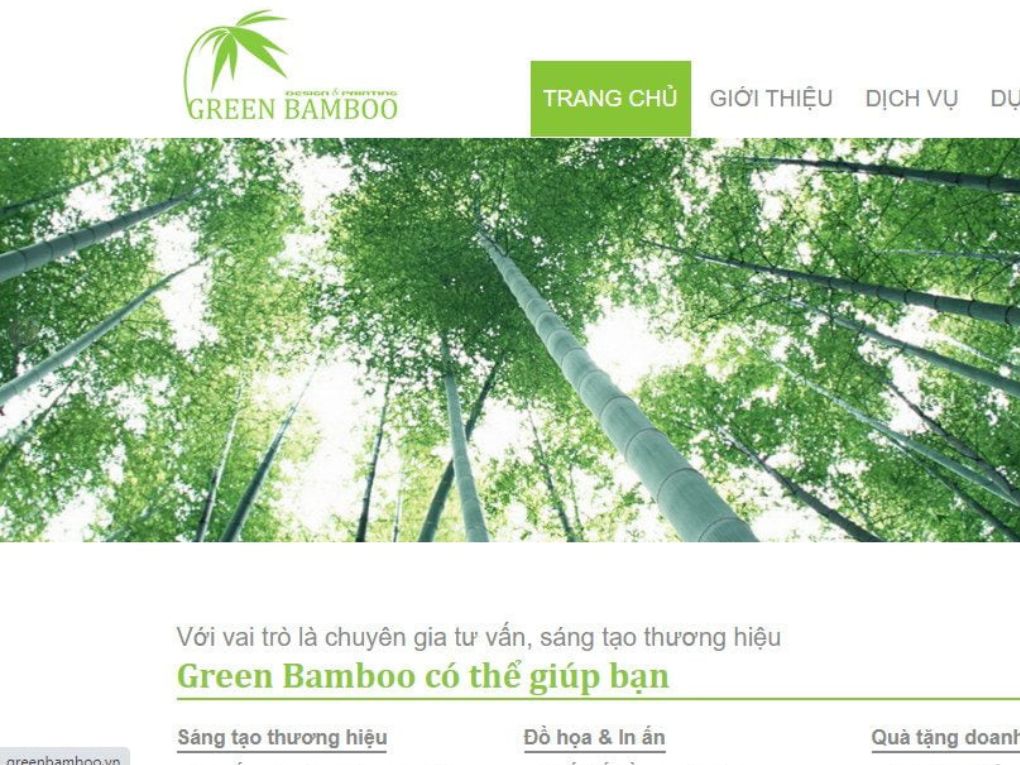 Dịch Vụ Thiết Kế Green Bamboo