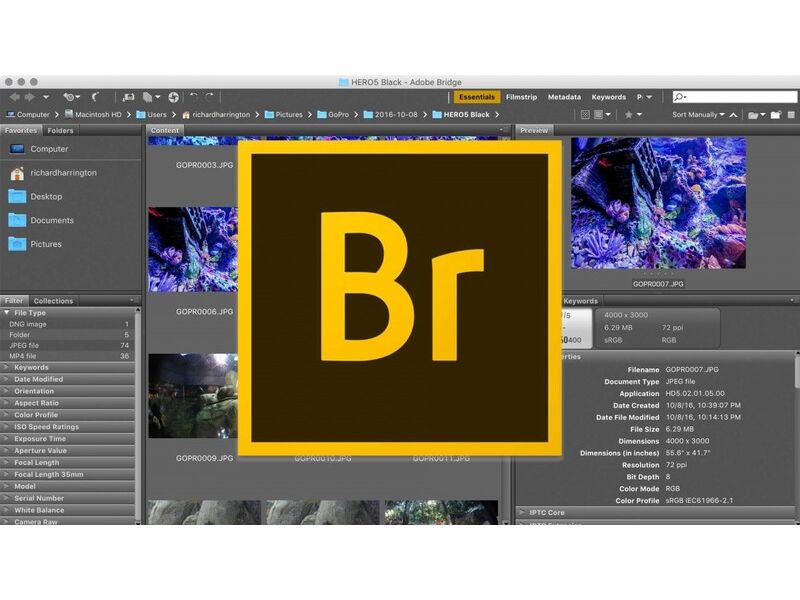 Adobe Bridge 2017 