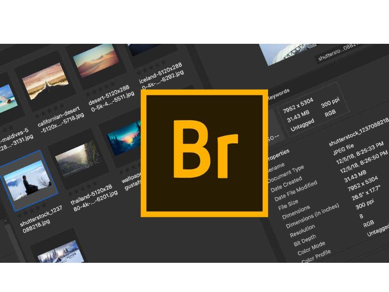 Adobe Bridge 2019