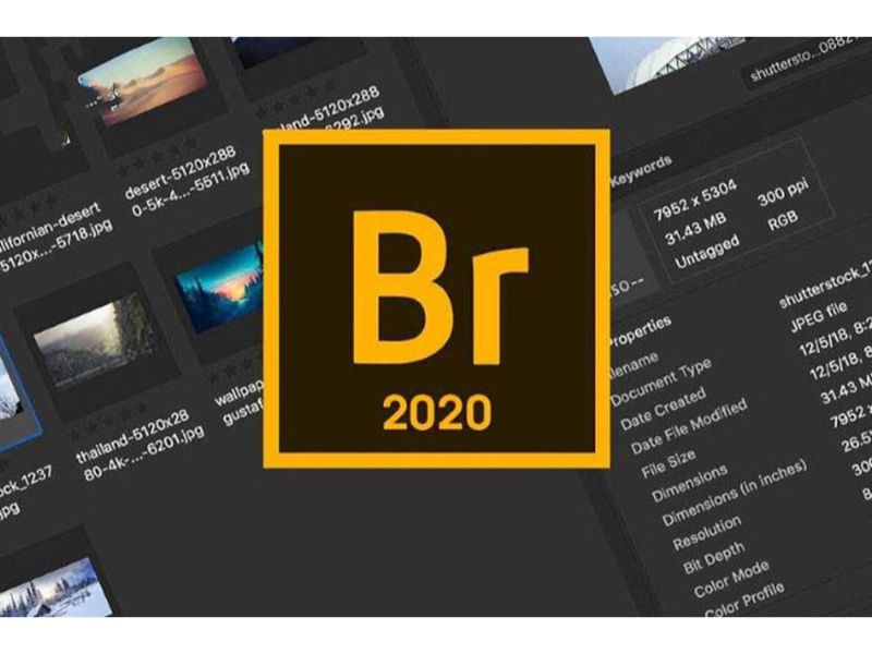 Adobe Bridge 2020