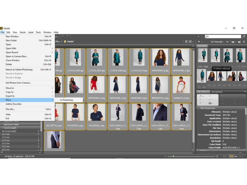 Giao diện của Adobe Bridge 2021