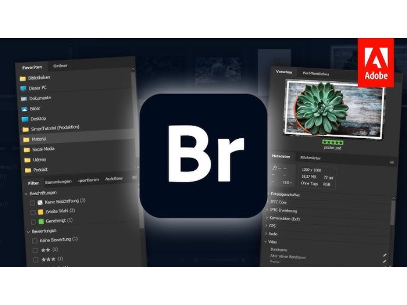 Adobe Bridge 2022
