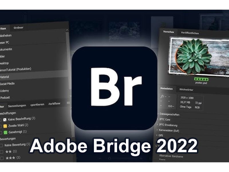 Adobe Bridge 2022 full crack