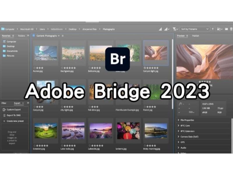 Adobe Bridge 2023