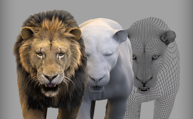 Mô phỏng con vật