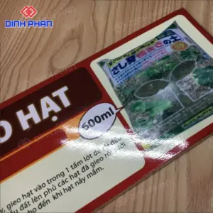 Chữ foam