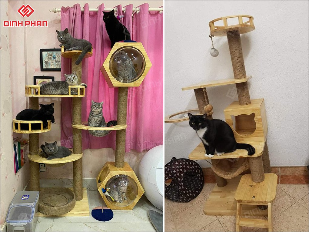 Cắt chữ mica theo yêu cầu